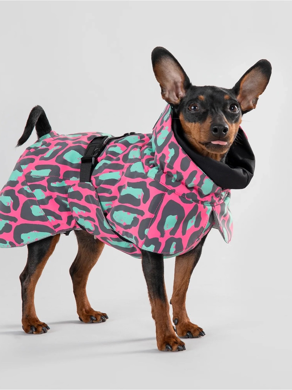 PAIKKA WATERPROOF WINTER DOG JACKET - JUNGLE